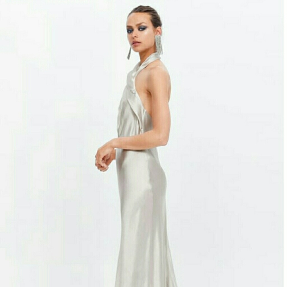 Zara LIMITED EDITION Dress - Picture 5 of 7